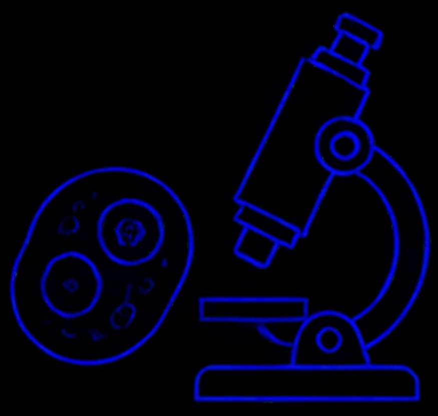 1 on 1 Mathematics Tutor Online