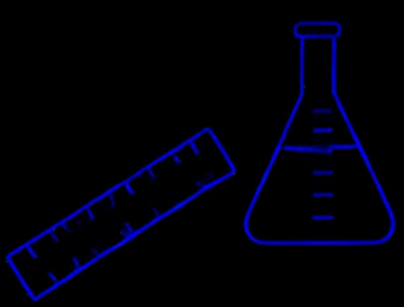 Human Anatomy Biology Online Classes